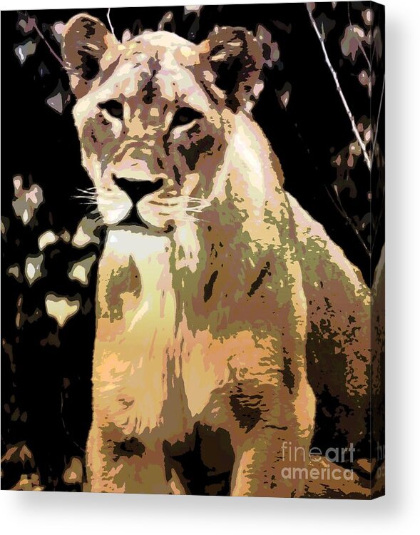 Lion Acrylic Print featuring the photograph Young Lion by Kathleen Struckle