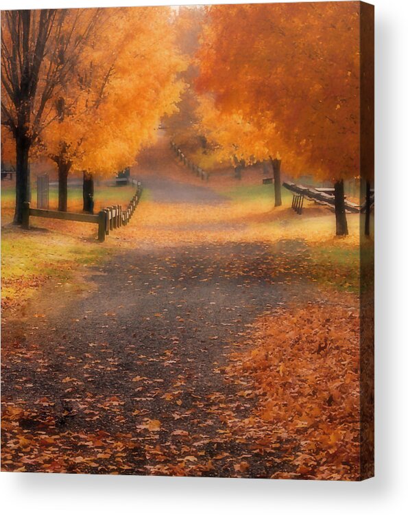 Trees Autumn Leaves Orange Green Nature Landscape Flower Blue Abstract Water Green Flowers Trees Art Whites Paring Red Sky New York Yellow Tree Photography Floral Chicago Ocean Garden Black Pink Sky Line Out Doors Clouds Colorful Color Wildlife Bison Digital Art Beach Painting Beautiful Light Old Sea Sunset Ny Orange Digital Photo Summer Forest Purple Plant Leaves Bird Black_and_ White Fox Wolf Acrylic Print featuring the photograph Autumn by Raymond Earley