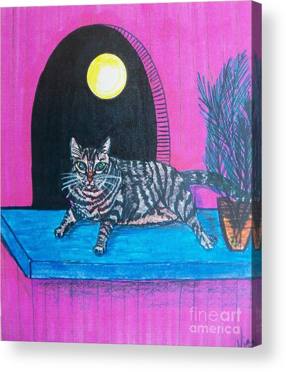 Cat Acrylic Print featuring the mixed media Banjo and the Moon by Judy Via-Wolff
