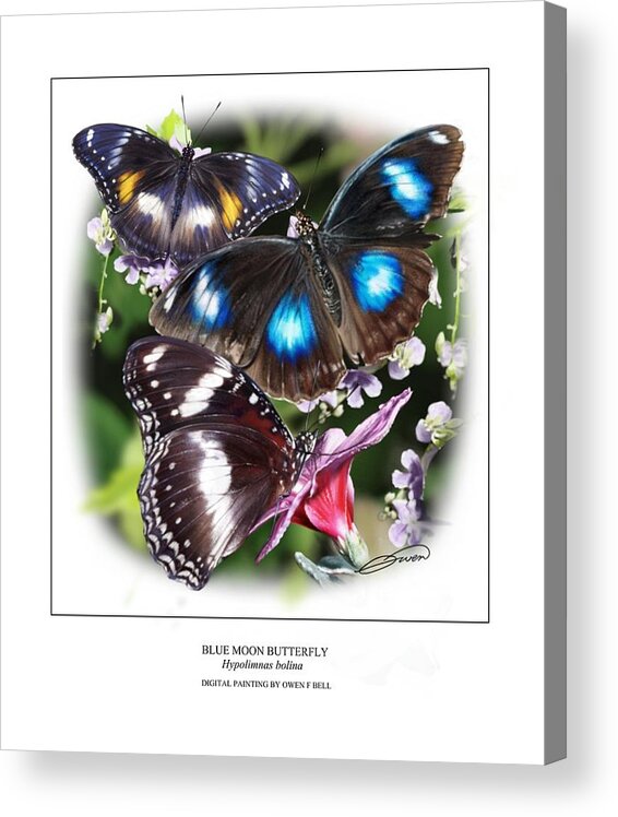 Blue Moon Butterfly Acrylic Print featuring the digital art Blue Moon Butterfly by Owen Bell