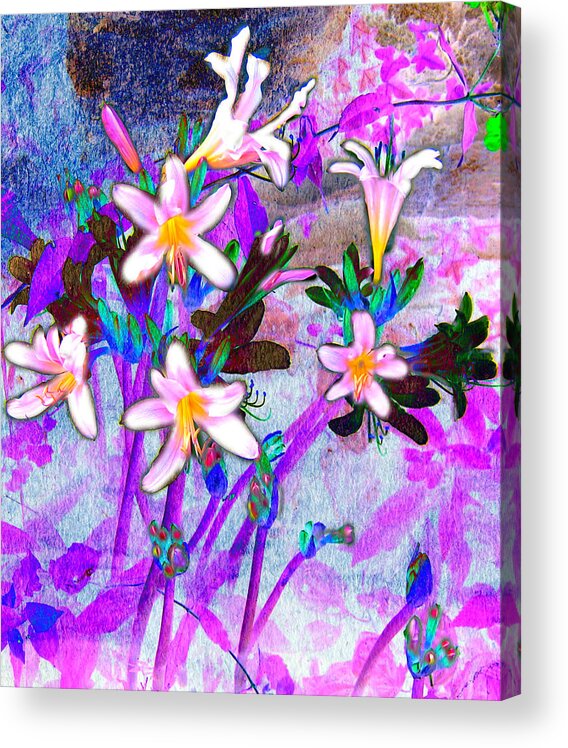 Painting Acrylic Print featuring the photograph Midsummer Nights Dream by EM Michael