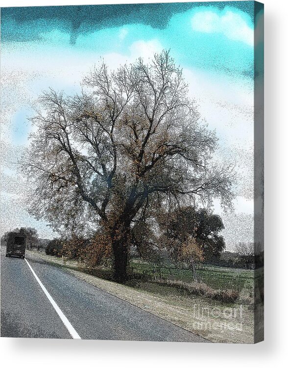  Acrylic Print featuring the photograph Road to Hico TX by David Carter