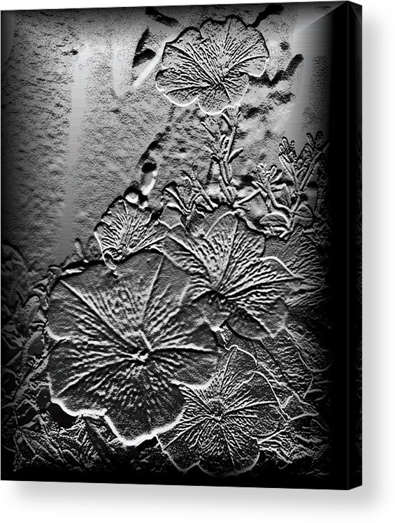 Flowers Acrylic Print featuring the photograph Silver by Karen Harrison Brown