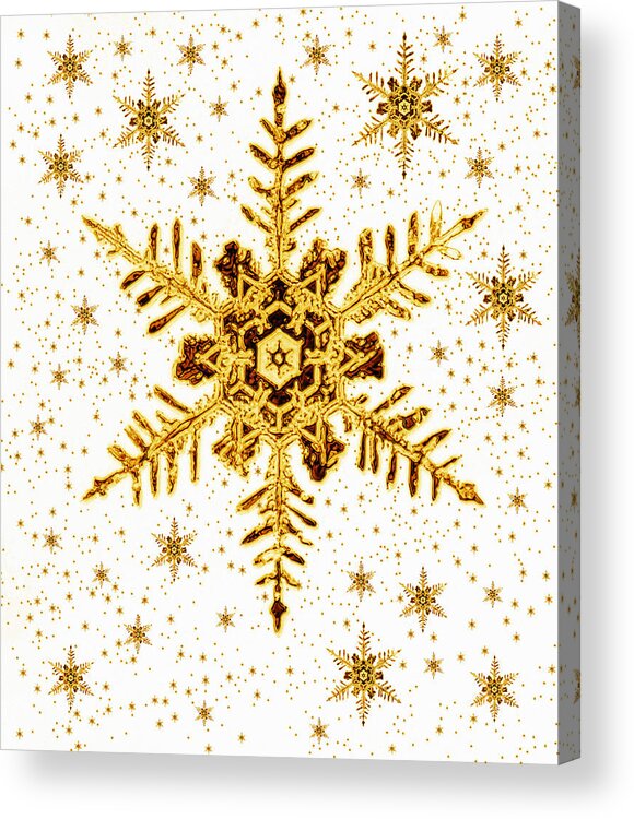 Snowflake Acrylic Print featuring the photograph Snowflakes by Mehau Kulyk