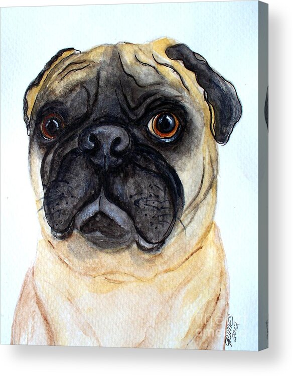 Pug Acrylic Print featuring the painting The Little Pug by Carol Grimes
