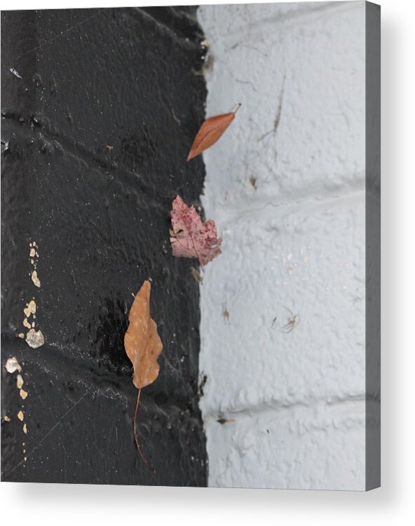 Fast Acrylic Print featuring the photograph Going nowhere FAST #2 by Marie Neder
