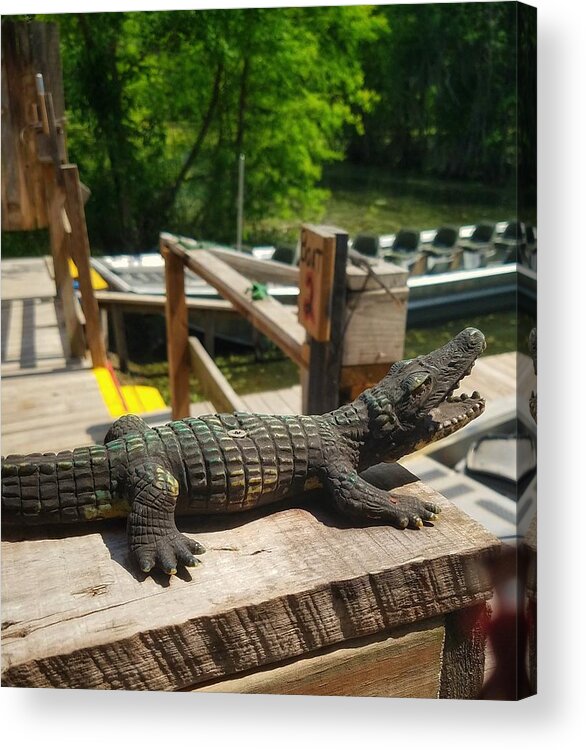 Alligator Acrylic Print featuring the photograph Alligator by Mary Capriole