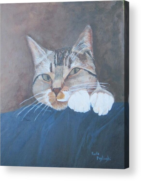 Cat Acrylic Print featuring the painting Austin by Paula Pagliughi