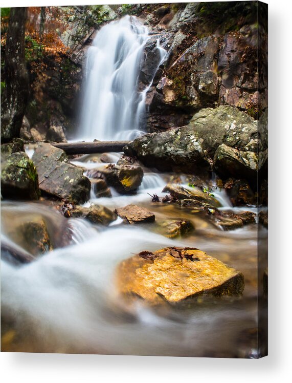 Oak Mountain Acrylic Print featuring the photograph Beautiful Strength by Parker Cunningham