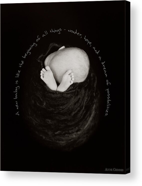 Baby Acrylic Print featuring the photograph Beginning by Anne Geddes