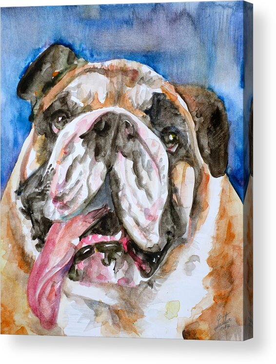 Bulldog Acrylic Print featuring the painting BULLDOG - watercolor portrait.3 by Fabrizio Cassetta