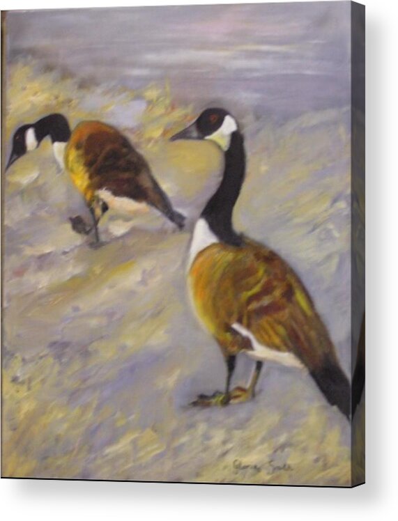  Acrylic Print featuring the painting Canadian geese by Gloria Smith