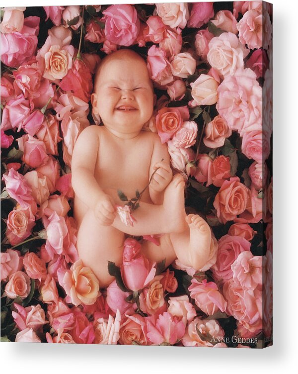 Roses Acrylic Print featuring the photograph Cheesecake by Anne Geddes