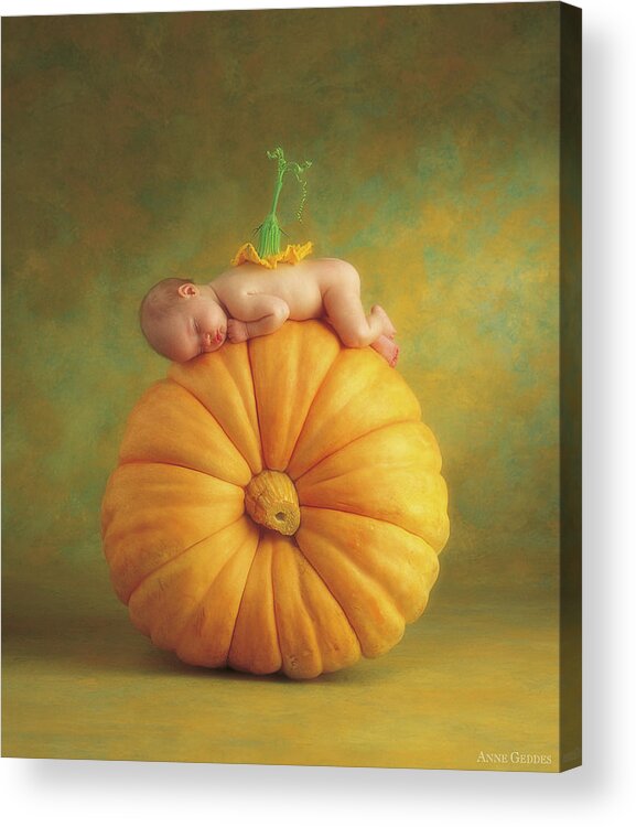 Fall Acrylic Print featuring the photograph Country Pumpkin by Anne Geddes