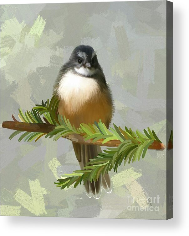 Bird Acrylic Print featuring the painting Fantail by Ivana Westin