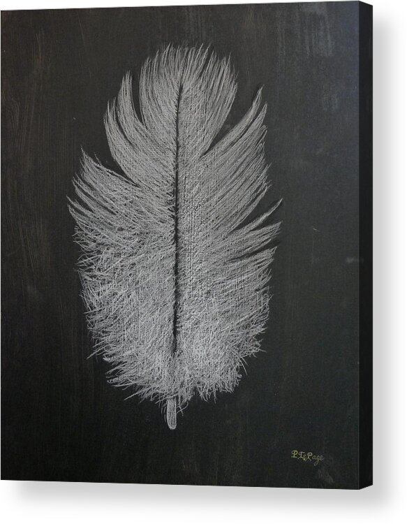 Feather Acrylic Print featuring the pastel Feather 1 by Richard Le Page