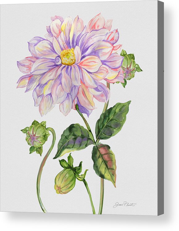 Watercolor Painting Acrylic Print featuring the painting Floral Botanicals-JP3778 by Jean Plout