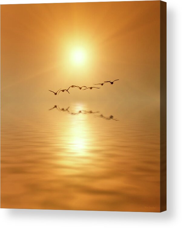 Birds Acrylic Print featuring the photograph Flying South by Wim Lanclus
