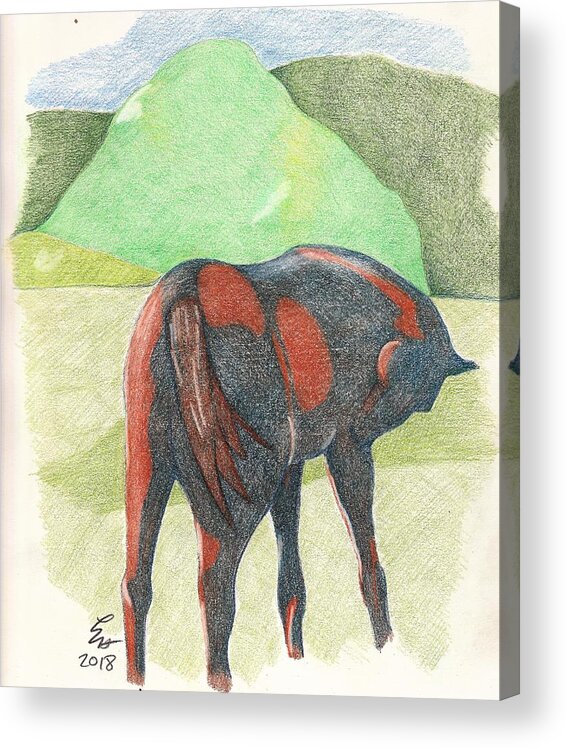 Horse Acrylic Print featuring the drawing Get off fly by Loretta Nash