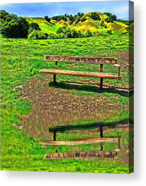 Reflections Acrylic Print featuring the photograph Happy Place by Brad Hodges