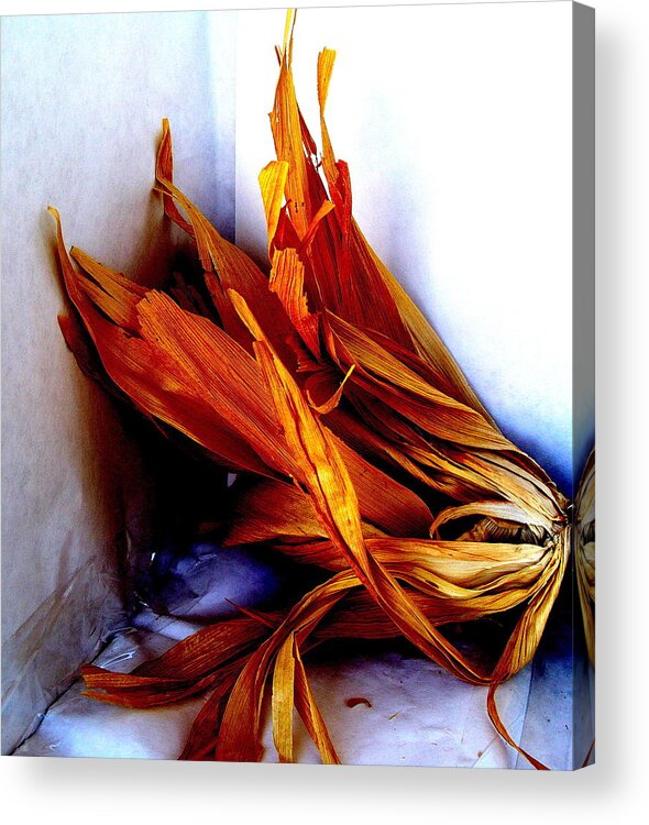 Still Life Acrylic Print featuring the photograph Harvest by Fred Wilson