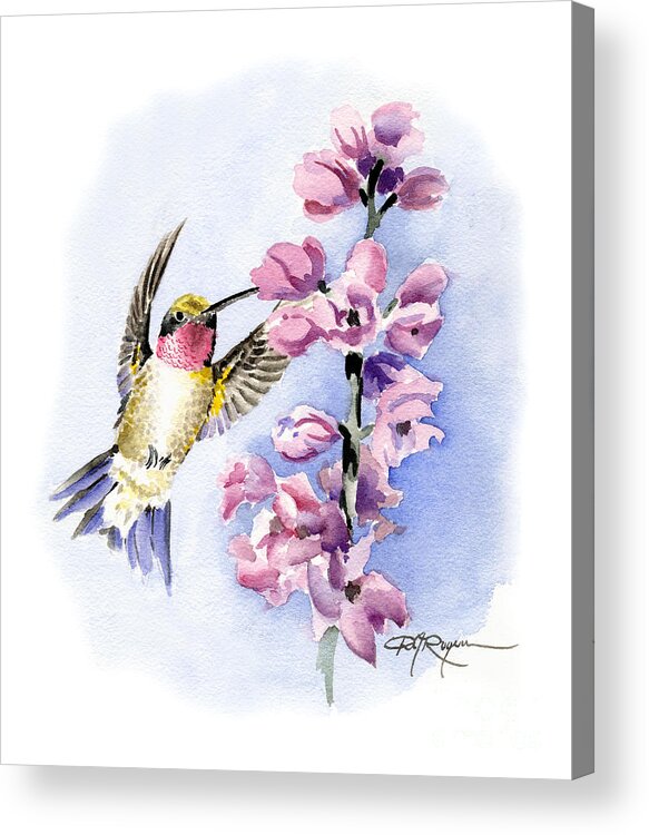 Hummingbird Acrylic Print featuring the painting Hummingbird by David Rogers