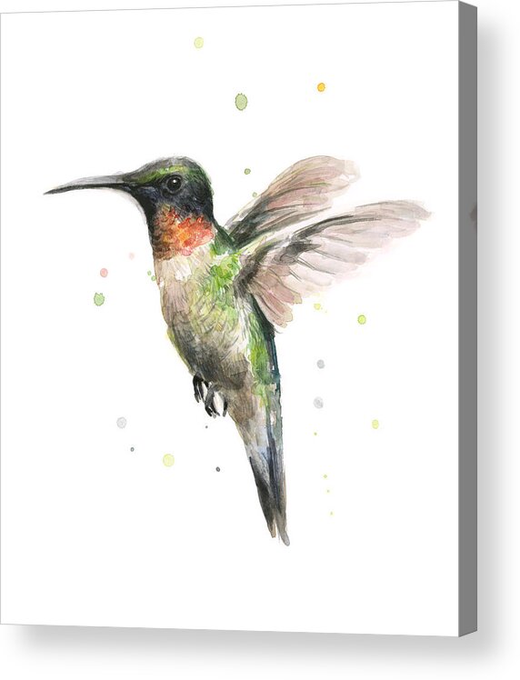 Animal Acrylic Print featuring the painting Hummingbird by Olga Shvartsur