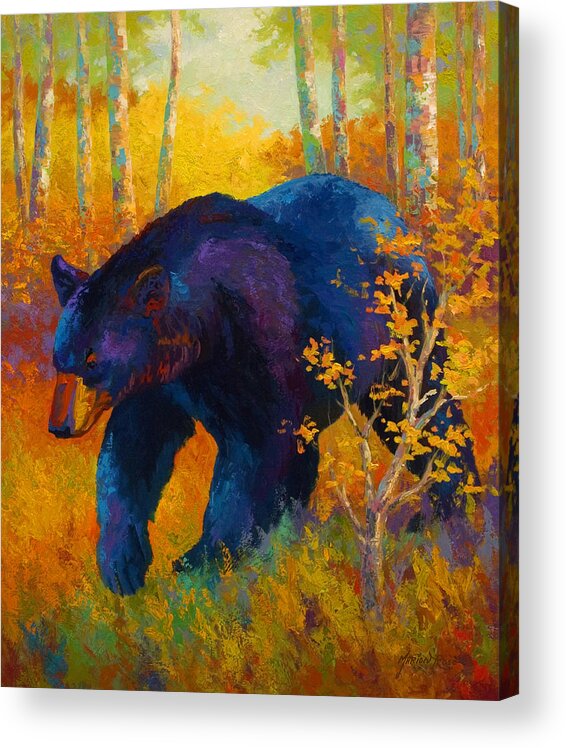 Bear Acrylic Print featuring the painting In To Spring - Black Bear by Marion Rose