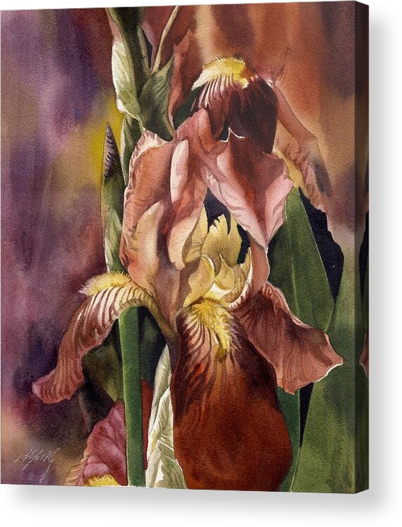 Iris In Red Acrylic Print featuring the painting Iris In Red by Alfred Ng