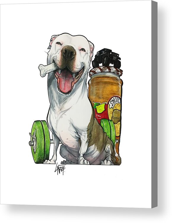 Pit Bull Acrylic Print featuring the drawing Johnson 18-1009 by John LaFree