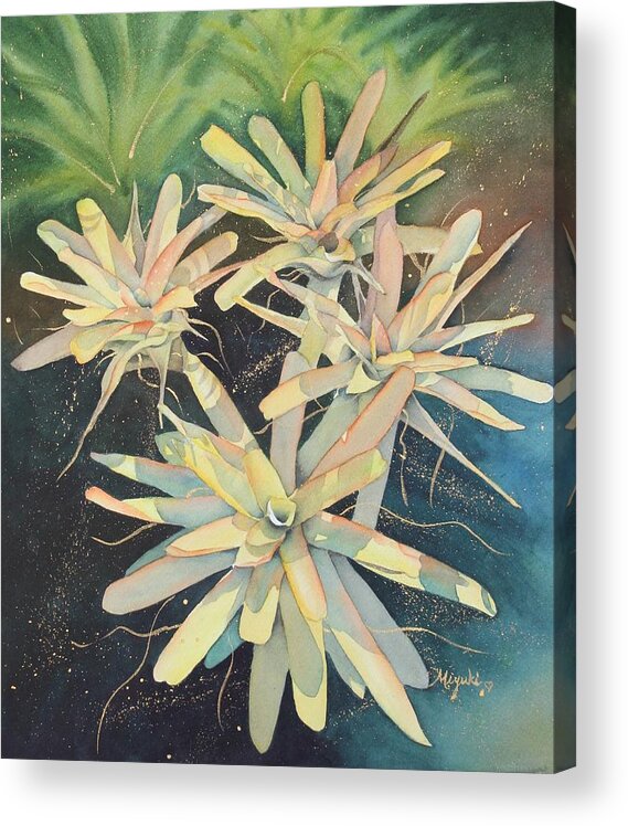 Bromeliads Acrylic Print featuring the painting Kula Constellation by Kelly Miyuki Kimura
