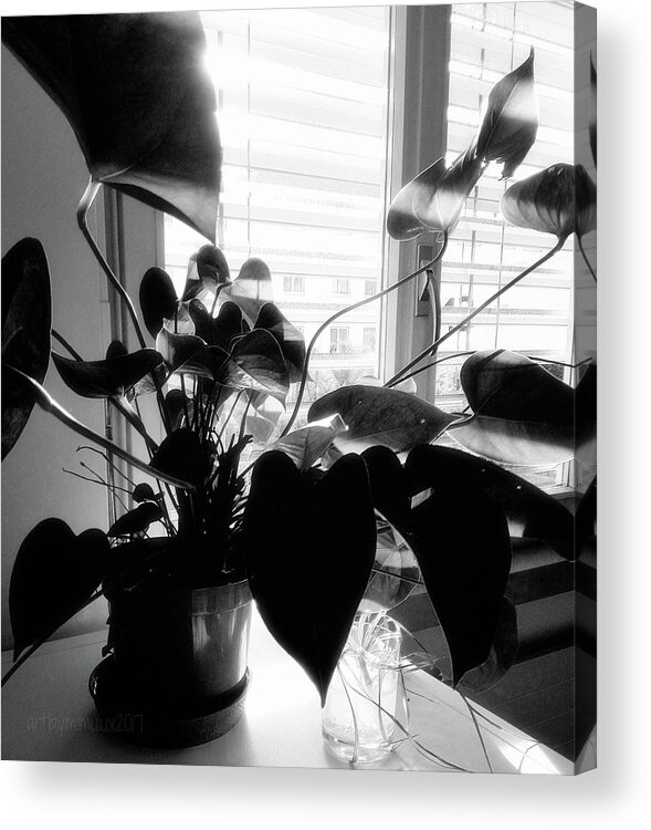 Shadow Acrylic Print featuring the photograph Light and Shadow 11 by Mimulux Patricia No