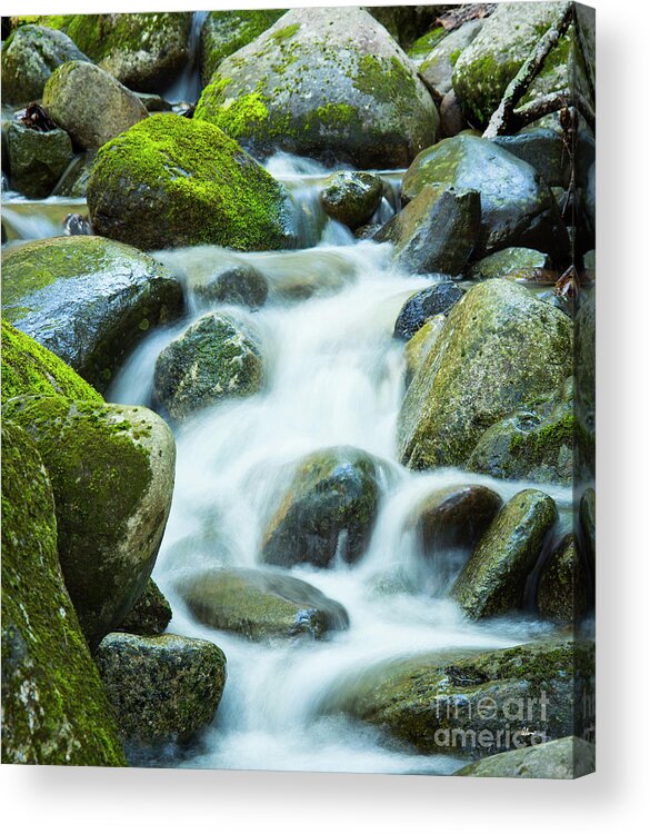 Maine Acrylic Print featuring the photograph Maine Waters by Alana Ranney