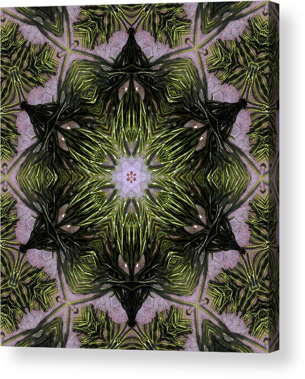 Mandala Acrylic Print featuring the digital art Mandala Sea Sponge by Nancy Griswold