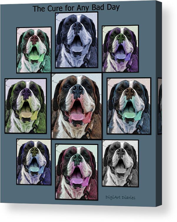 Boxer Acrylic Print featuring the digital art Miles of Smiles by DigiArt Diaries by Vicky B Fuller