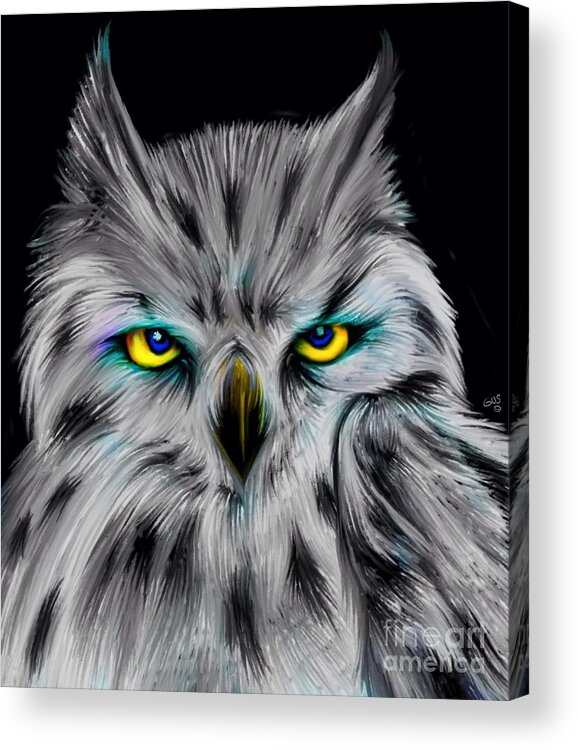 Owls Acrylic Print featuring the digital art Owl Eyes by Nick Gustafson