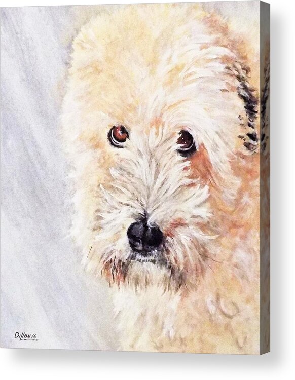 Dog Portrait Acrylic Print featuring the painting Pazzo by Michael Dillon