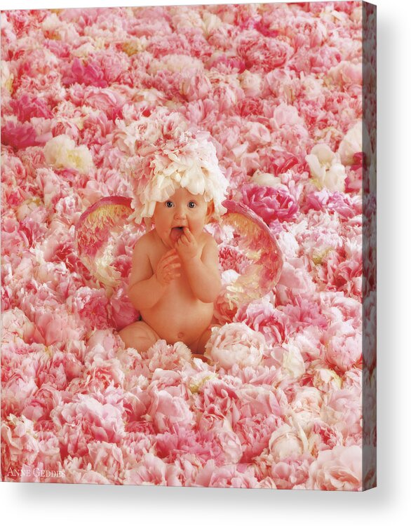Angel Acrylic Print featuring the photograph Peony Angel by Anne Geddes
