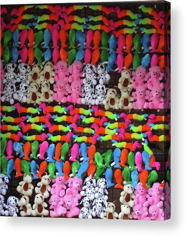 Toys Acrylic Print featuring the photograph Poodles and Doggies and Fish Oh My by Anne Cameron Cutri