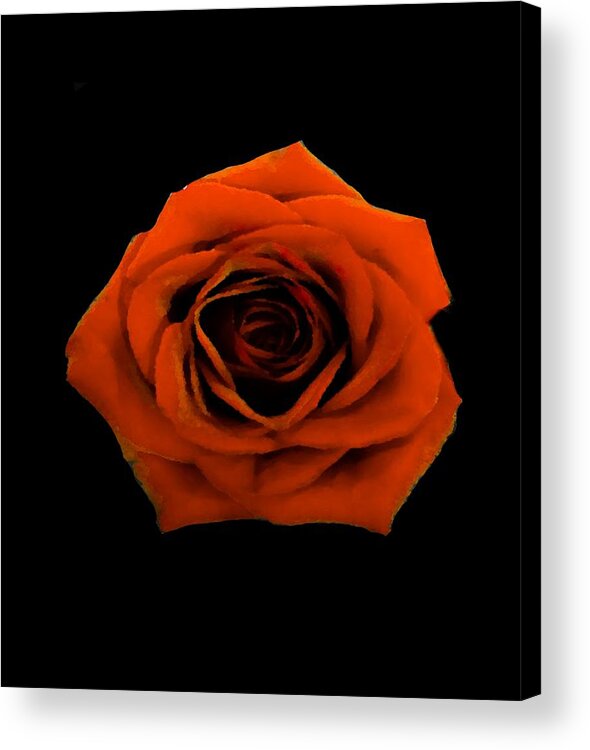 Photograph Acrylic Print featuring the mixed media Red Rose II Flower by Delynn Addams