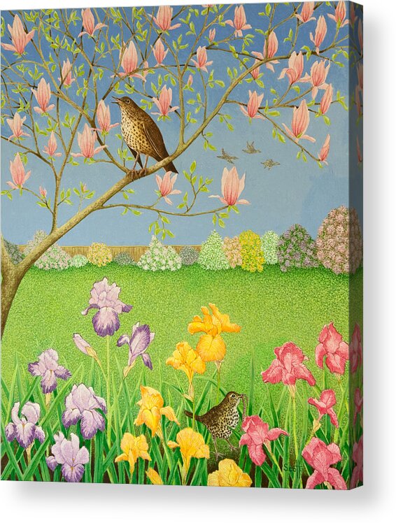 Bird Acrylic Print featuring the painting Something to Sing About by Pat Scott