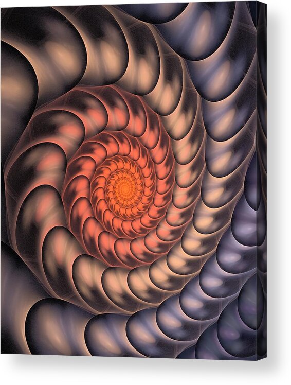 Spiral Acrylic Print featuring the digital art Spiral Shell by Anastasiya Malakhova