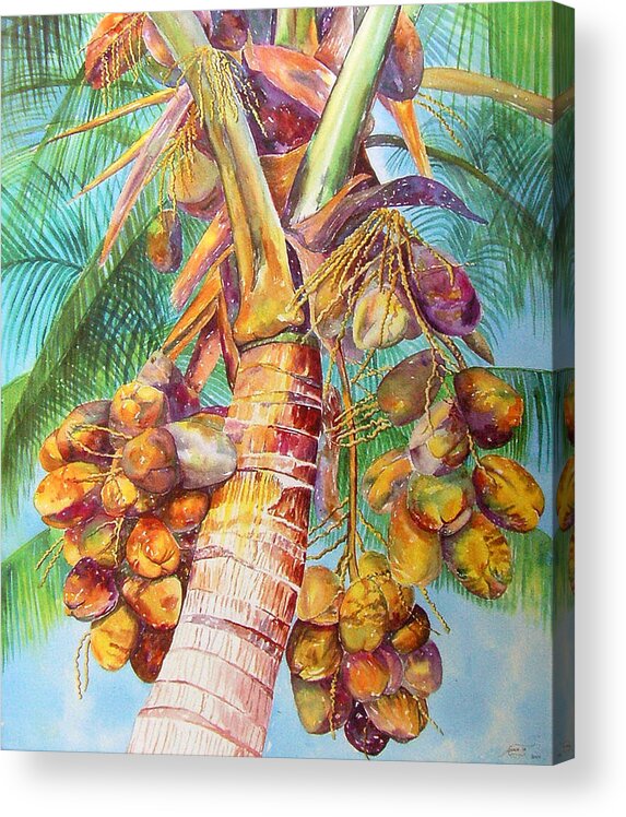 Coconut Tree Acrylic Print featuring the painting Squire's Coconuts by AnnaJo Vahle