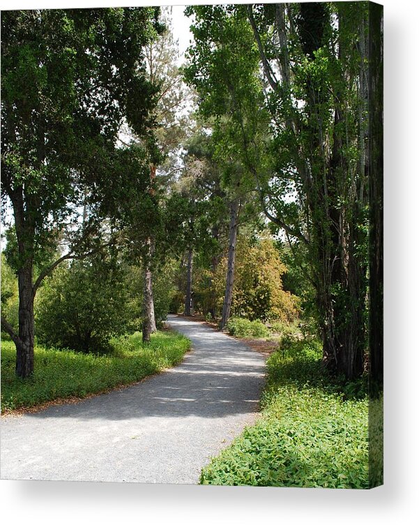 Photo Acrylic Print featuring the photograph The Pathway by Gerald Carpenter