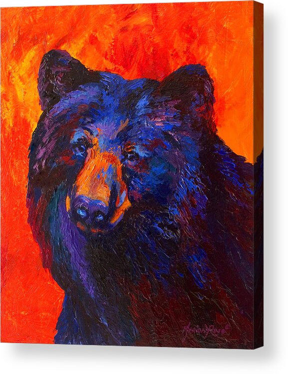 Bear Acrylic Print featuring the painting Thoughtful - Black Bear by Marion Rose