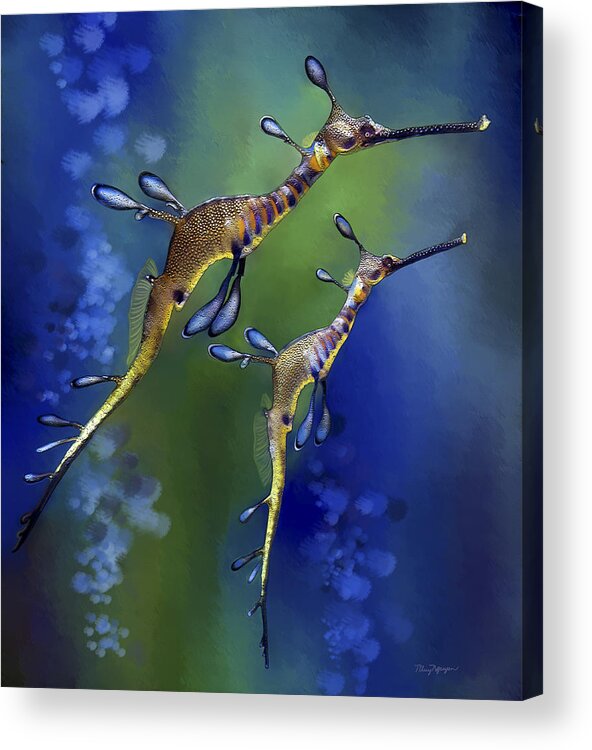 Weedy Sea Dragon Acrylic Print featuring the digital art Weedy Sea Dragon by Thanh Thuy Nguyen