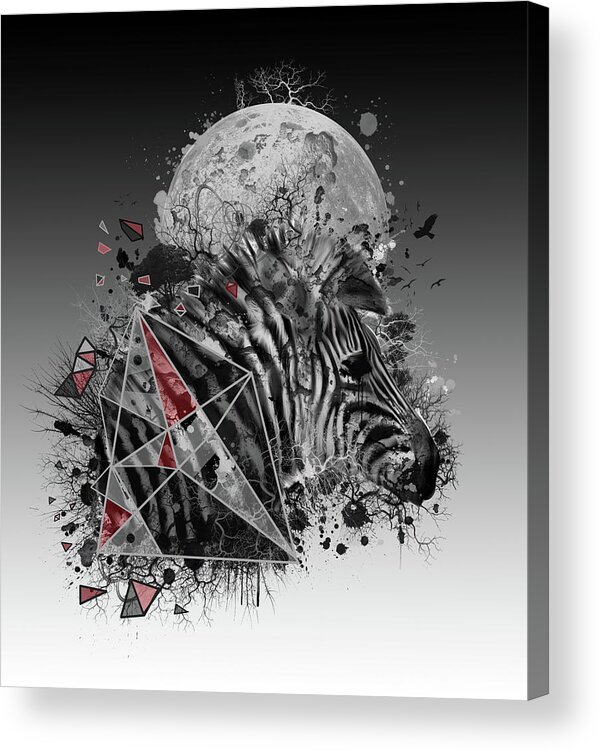 Zebra Acrylic Print featuring the digital art Zebra by Bekim M