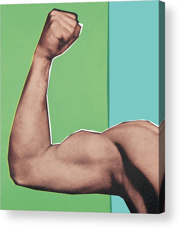 Adult Acrylic Print featuring the drawing Muscular Arm #1 by CSA Images