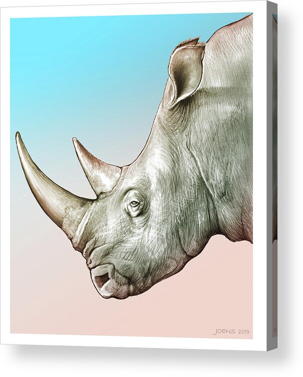 Rhinoceros Acrylic Print featuring the drawing Rhino #1 by Greg Joens