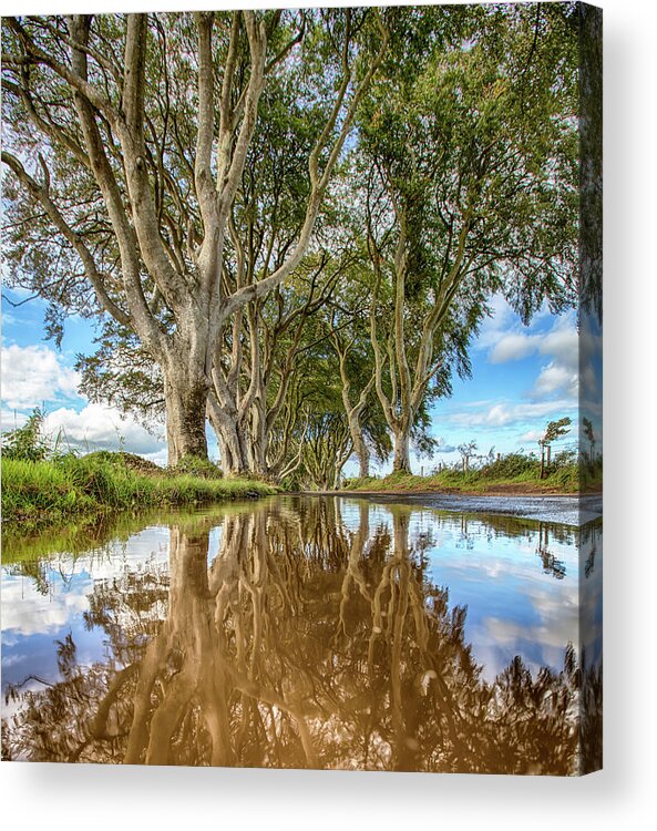 Chriscousins Acrylic Print featuring the photograph The Dark Hedges #2 by Chris Cousins
